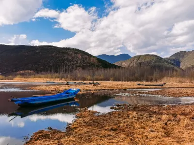 Casiwave Casino Mobilapp